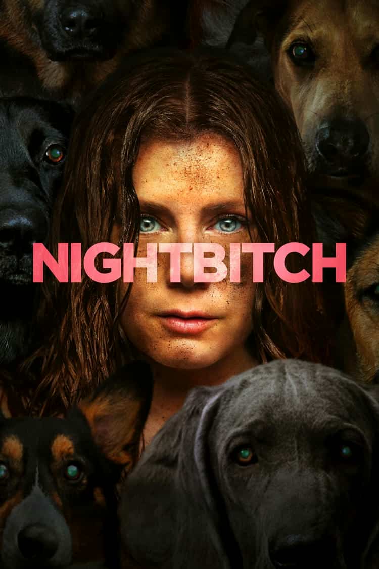 Poster for Nightbitch